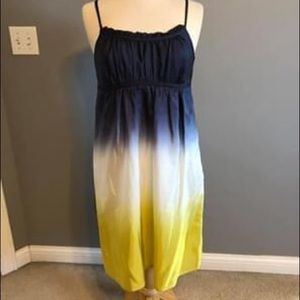 Ann Taylor silk dress